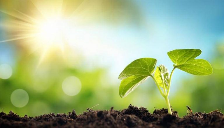 “Green tax” per colpire chi inquina: ecco come va ideata