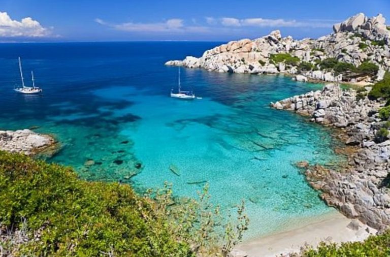 Con un animale in casa, niente viaggio per la metà dei padroni