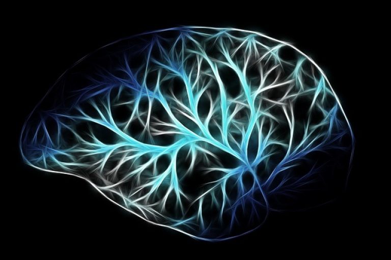 La bellezza è una scienza. I segreti della neuroestetica