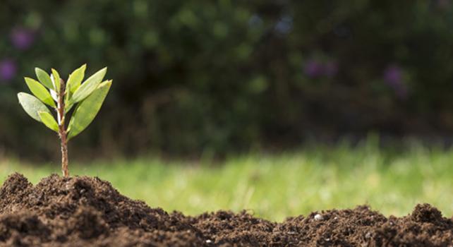 L’agricoltura delle diversità può rilanciare l’economia dei territori. L’intervista