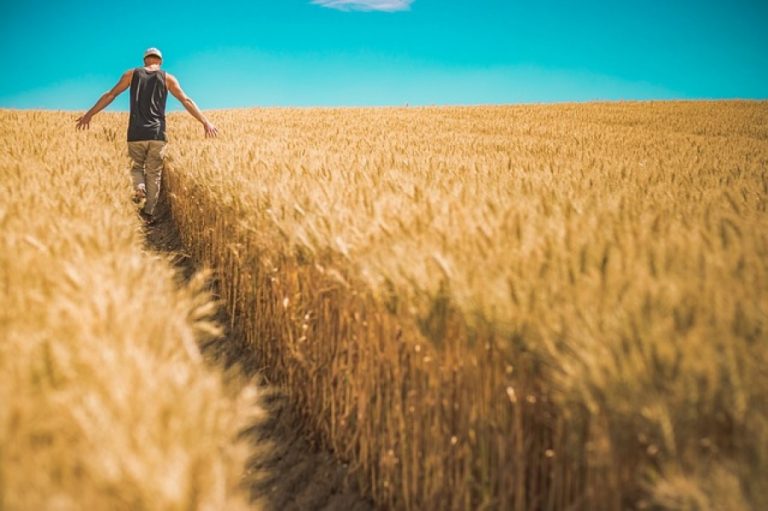 Agricoltura, Italia prima in Europa per numero di giovani con le “mani nella terra”. Fara: “Il futuro nella tradizione”