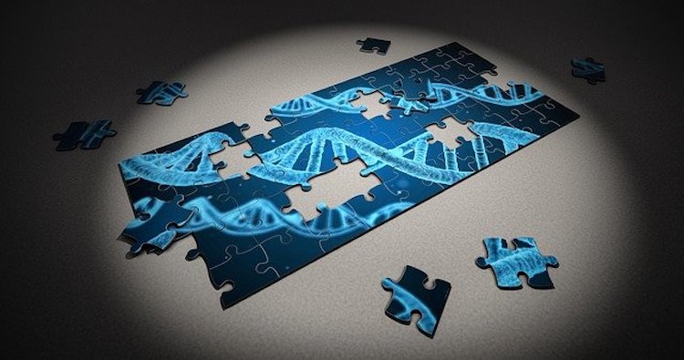 Le innovazioni scientifiche e tecnologiche nella lotta al Covid