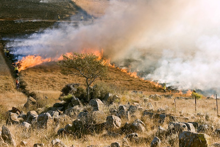 incendi incendi