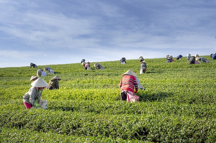 sfruttamento del lavoro