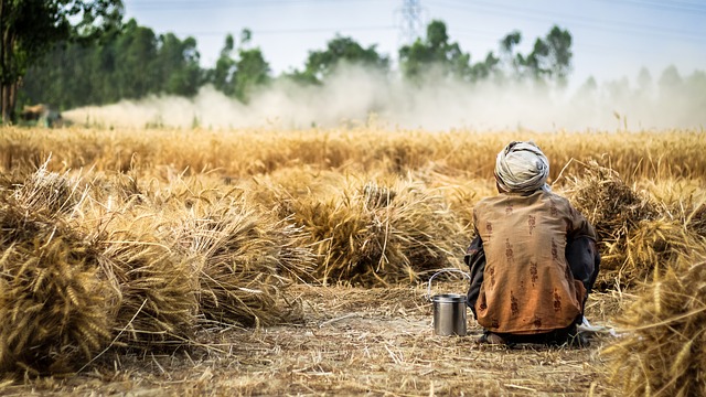 sfruttamento del lavoro sfruttamento del lavoro