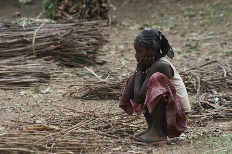 tigray