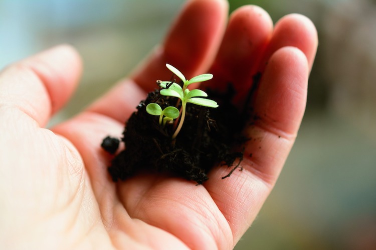 agricoltura bene comune agricoltura bene comune